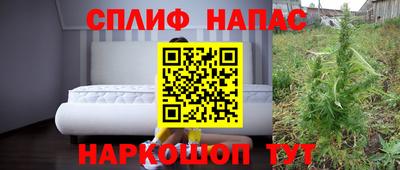 тгк Будённовск