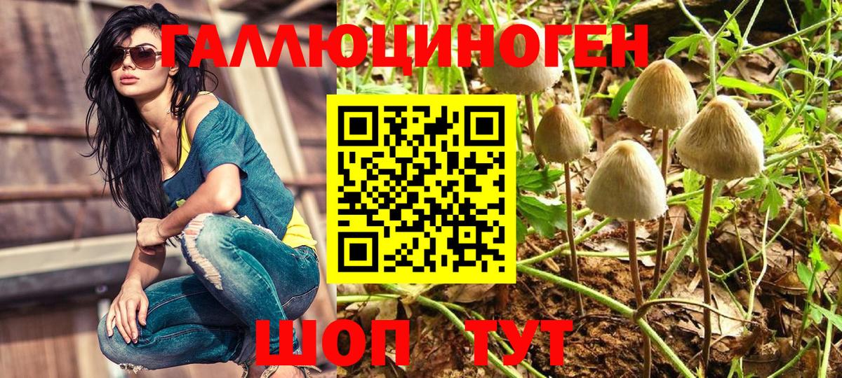 Галлюциногенные грибы Psilocybine cubensis  Вход с VPN  Копейск 